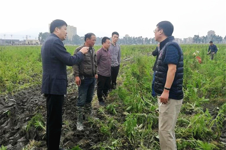 福建365上市公司官网图三_副本780