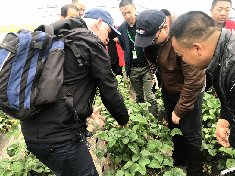 研发三部图二780