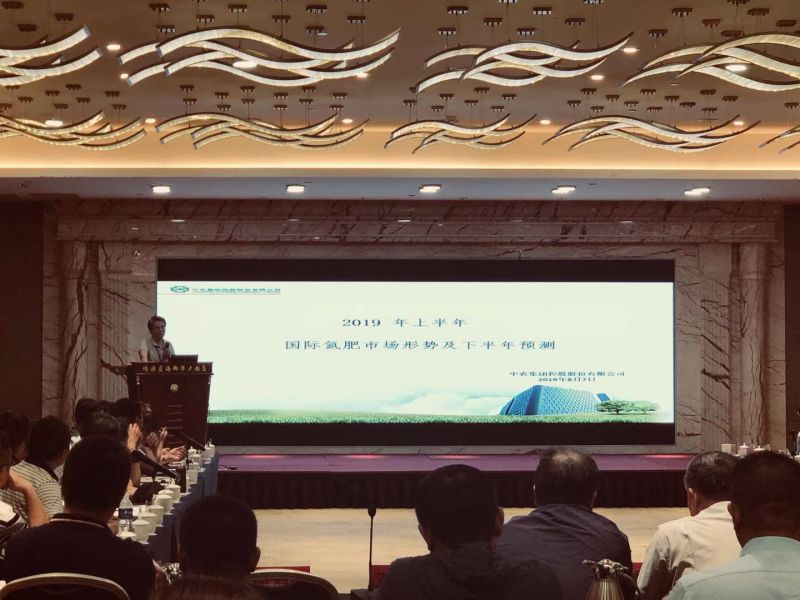 氮协会议照片0812-1