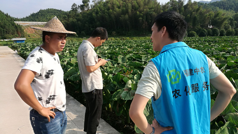 福建365上市公司官网