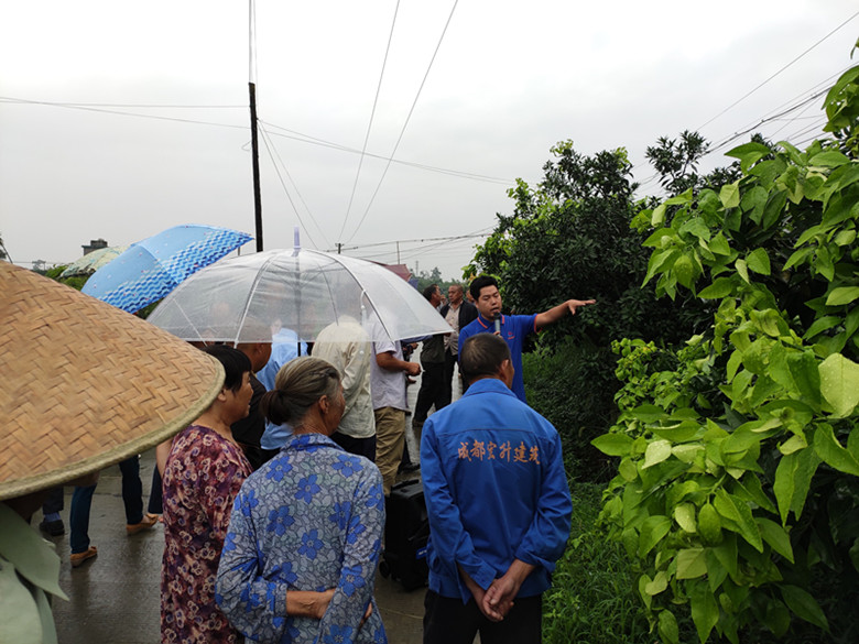 四川365上市公司官网