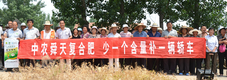 365上市公司官网舜天 - 副本_副本