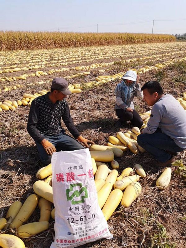 新疆365上市公司官网