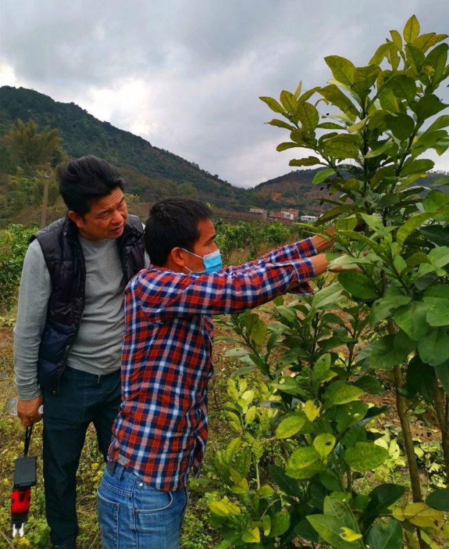 微信图片05_副本