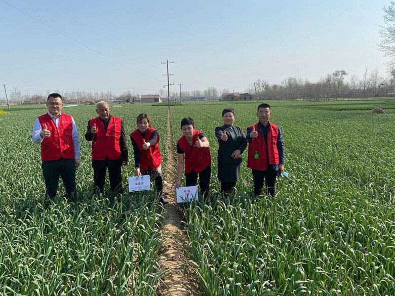 大蒜技术回访照片_副本