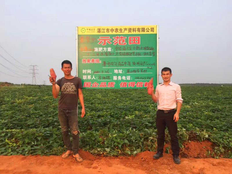 湛江365上市公司官网副本