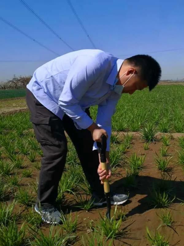 微信图片14_副本