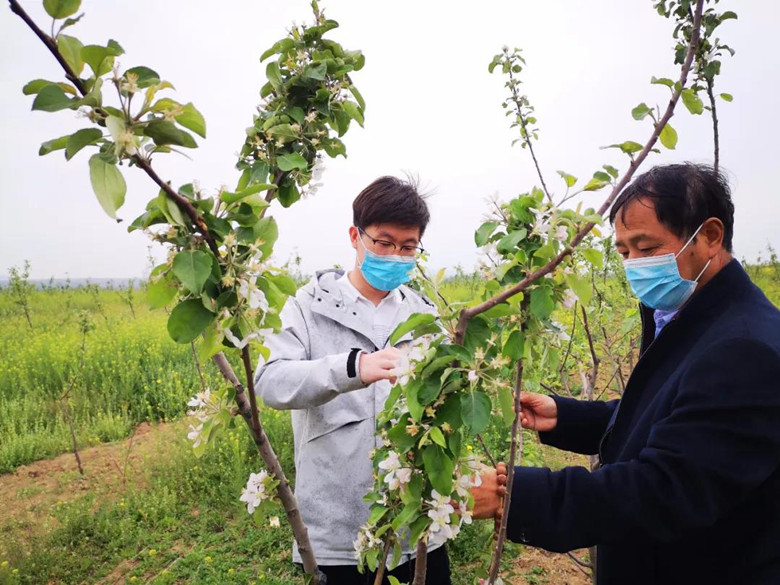 微信图片01_副本