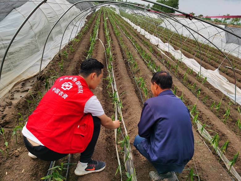 微信图片1_副本