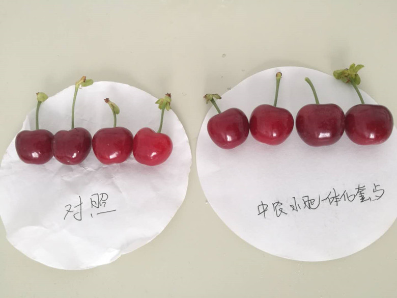 微信图片3_副本