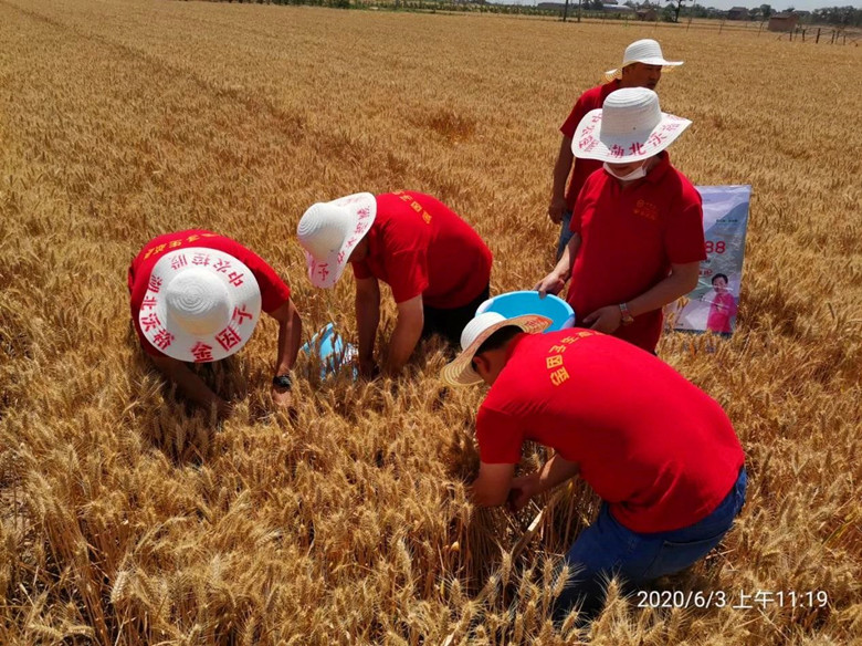 微信图片04_副本