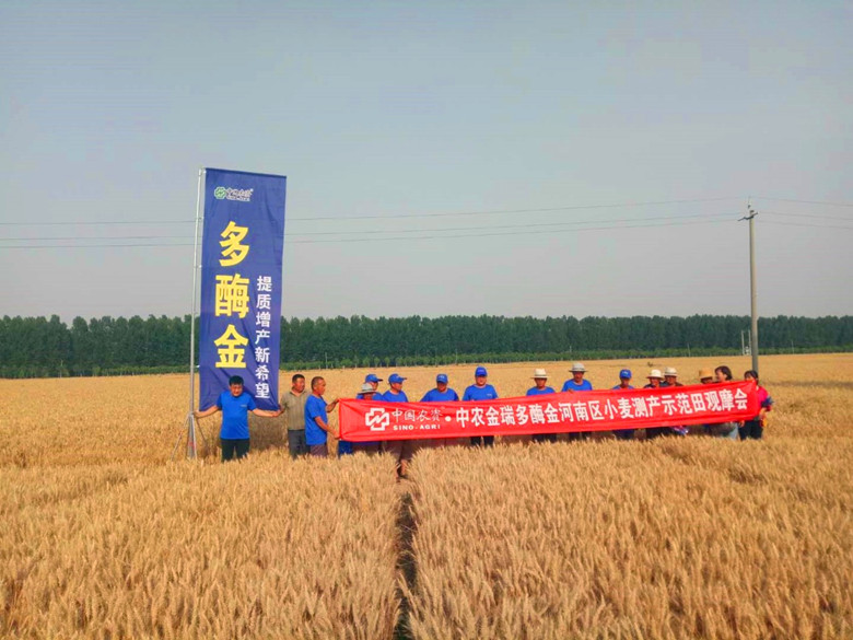 微信图片01_副本