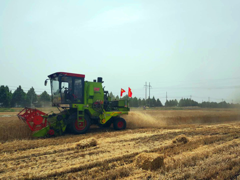 微信图片02_副本_副本