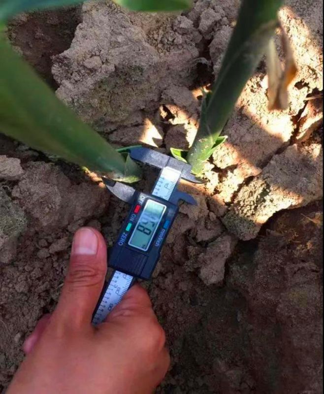 微信图片03_副本