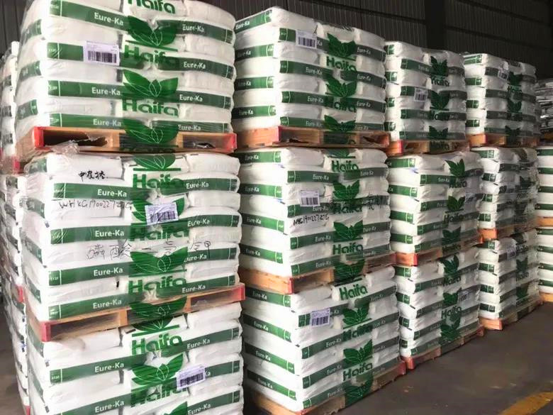 微信图片01_副本