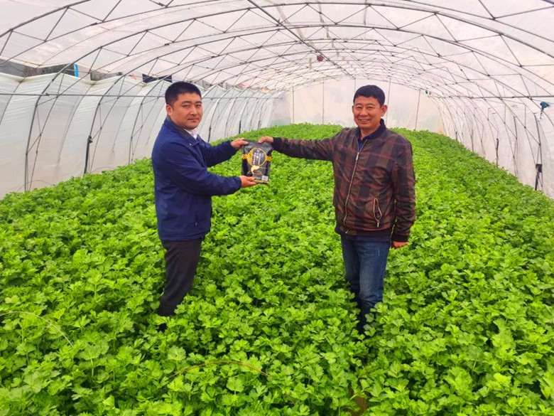 微信图片06_副本