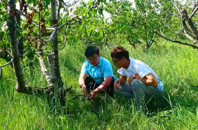 微信图片05_副本