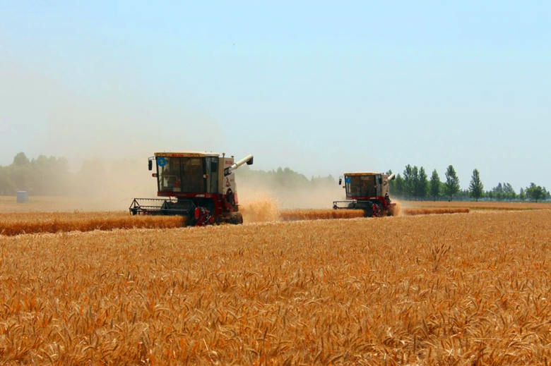 微信图片01_副本