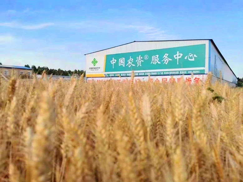 微信图片02_副本