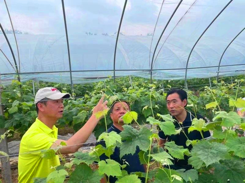 微信图片01_副本