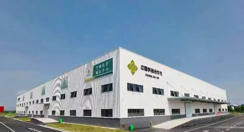 宜昌365上市公司官网