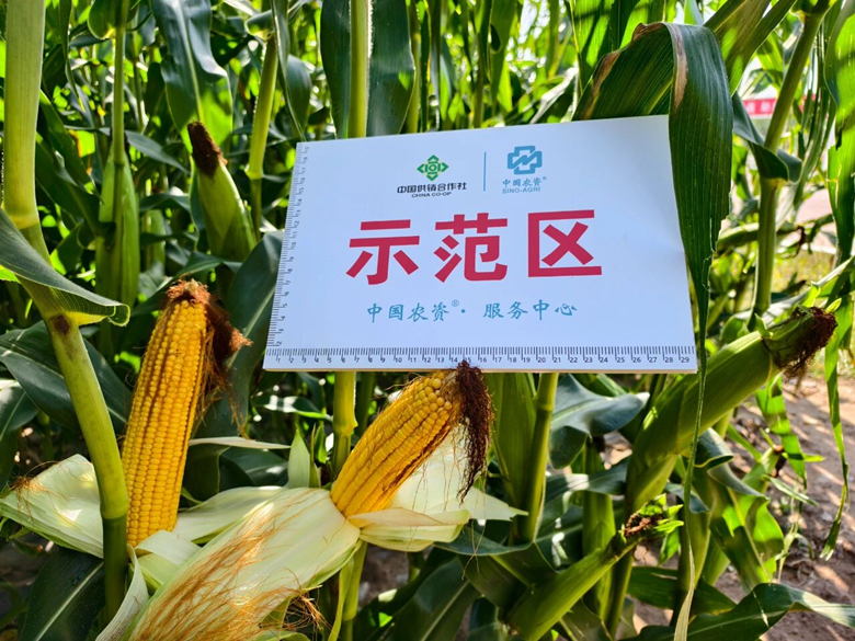 微信图片03_副本